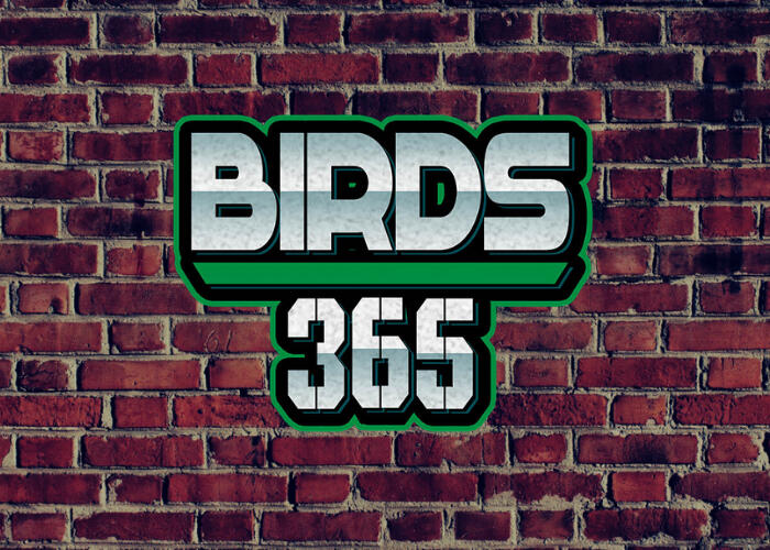 Birds 365: A Philadelphia Eagles Show